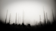 Dny bez nebe II