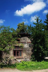 Dvorek