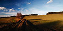 Vysočinou